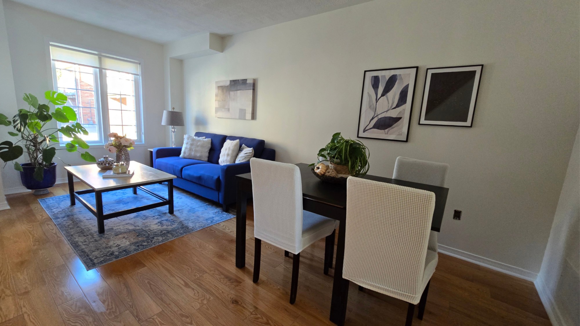 Bright living and dining area with a blue sofa, dining table and hardwood floors
